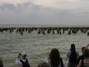Starting the swim with 2000 athletes